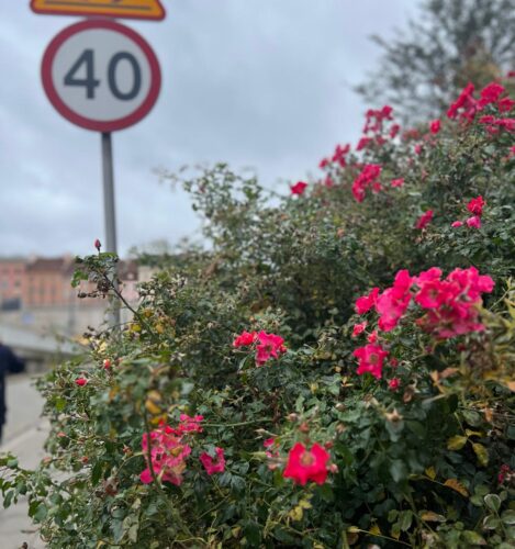 Mój przyjaciel, układ nerwowy