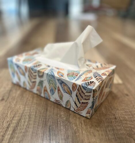 Własne, śliczne piórka