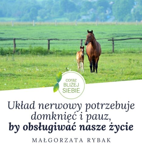 Wieczorynka, dziennik, sport, pogoda