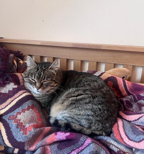 Trzeci list z „pomiędzy”