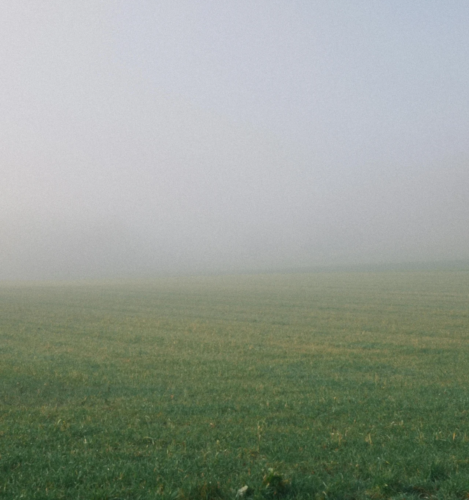 Regulacja niekoniecznie przez rzeczy