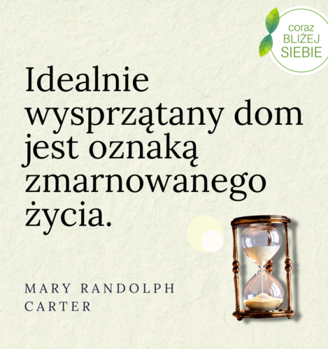 Idealnie wysprzątany dom